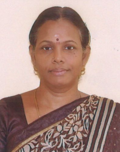 Dr.SARASWATHI S